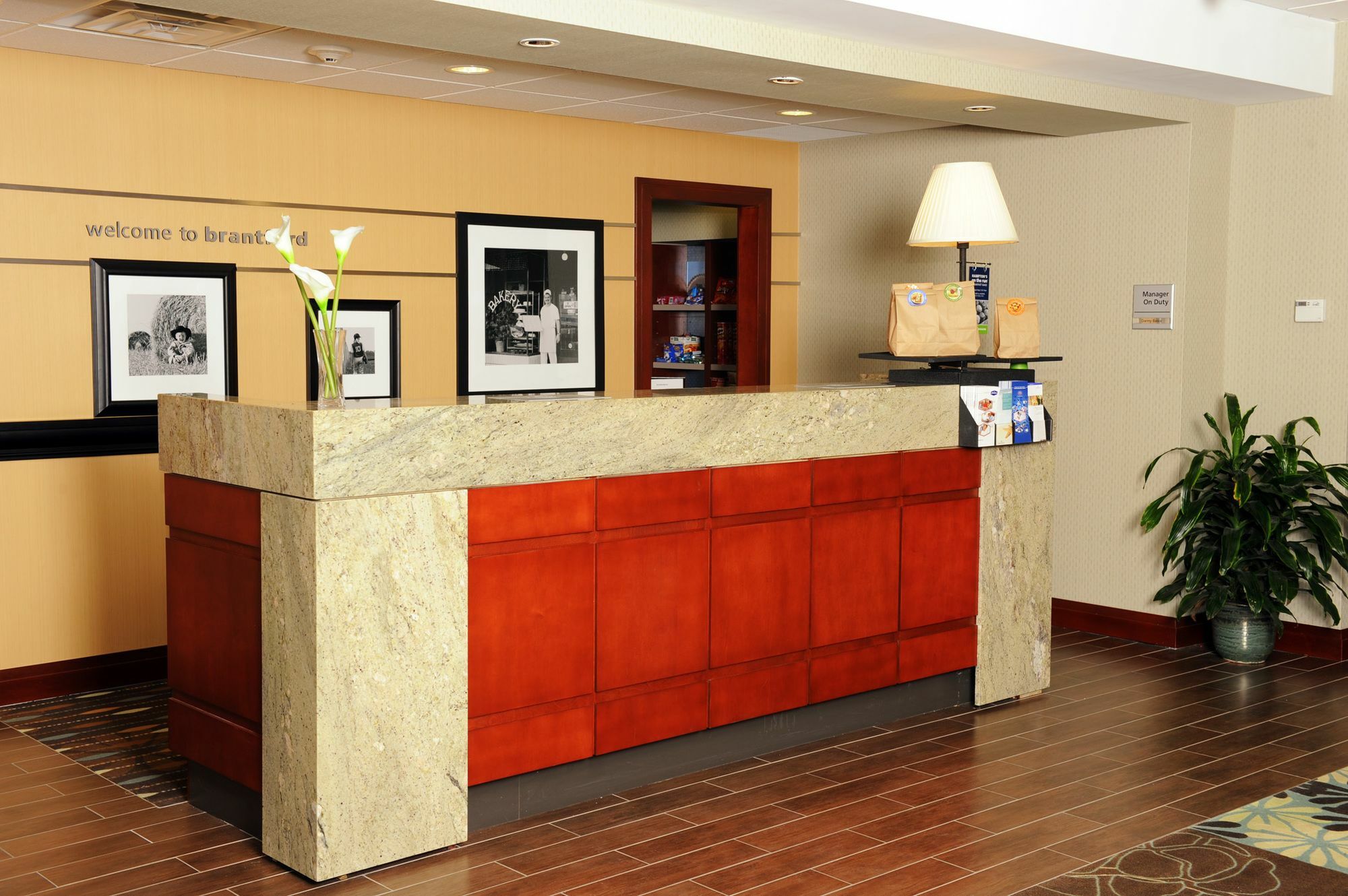 Hampton Inn & Suites By Hilton Brantford Exteriér fotografie